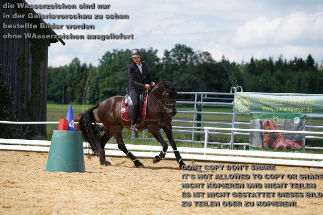 s_K3F04535.JPG